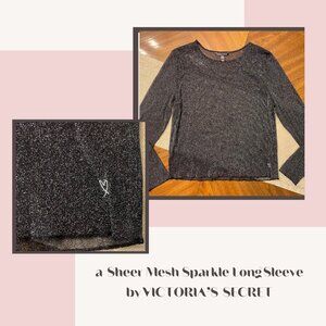 Victoria's Secret Sexy Sheer Mesh Sparkle Long Sleeve